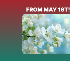 Dear colleagues, dear friends! Congratulations from the entire team of our company on May 1st!